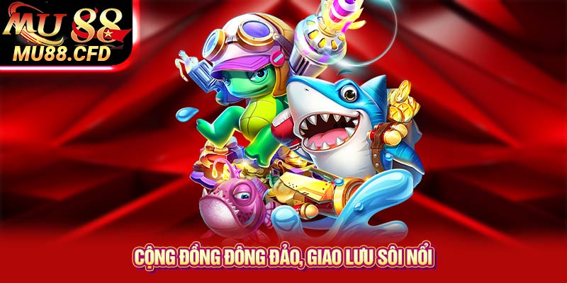 Cộng đồng đông đảo, giao lưu sôi nổi