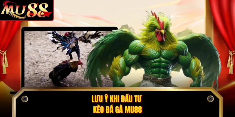 Lưu ý khi đầu tư kèo đá gà MU88